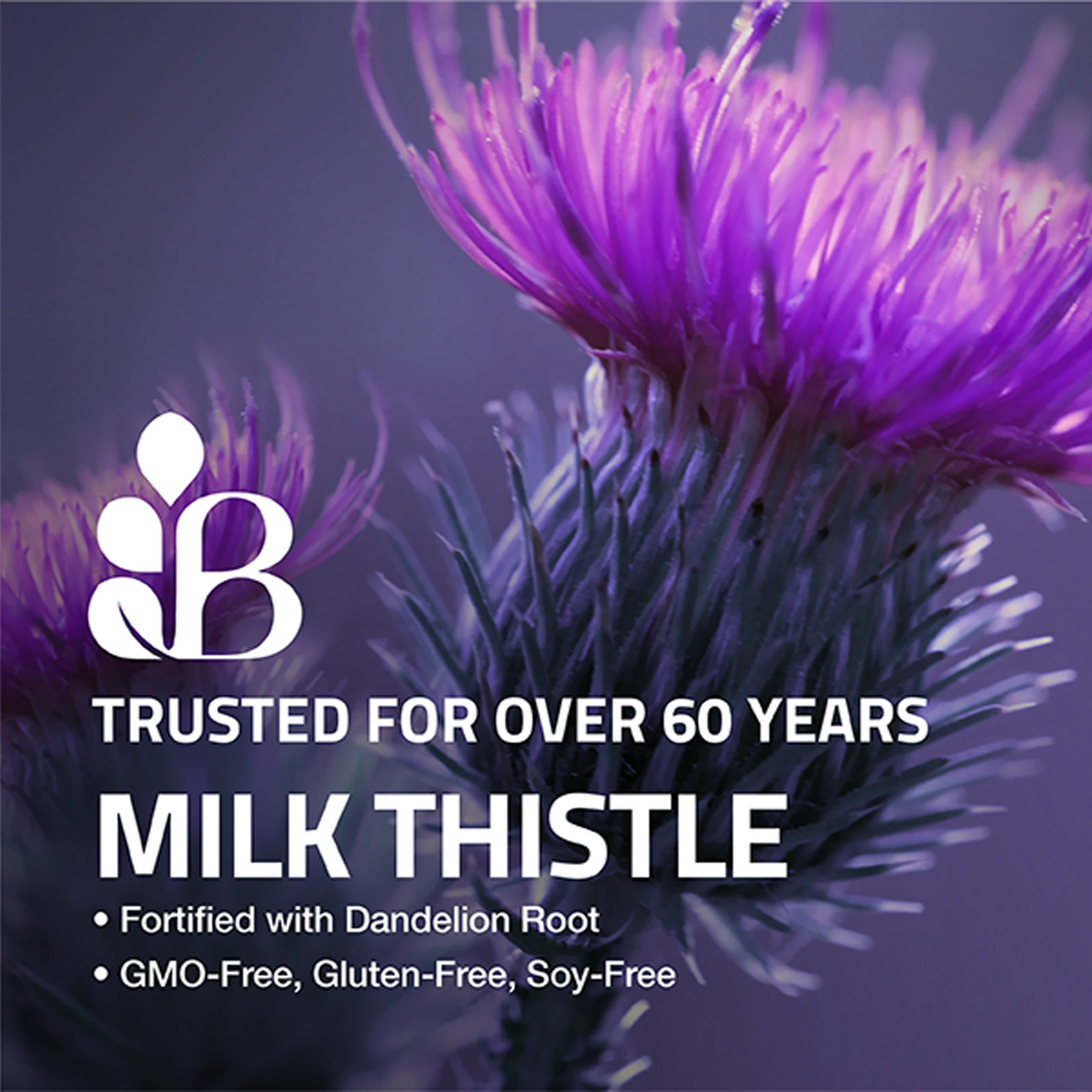 شوك الحليب 1000 ملغ - يساعد على دعم وظائف الكبد الصحية وإزالة السموم والتطهير، ومضادات الأكسدة الطبيعية، والحفاظ على الصحة #6