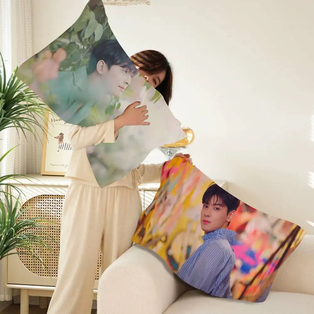 Singer C-Cha EunWooS Fast-Drying Polyester Pillow Pad - Travel & Home Dual-Use, Lightweight & Compact