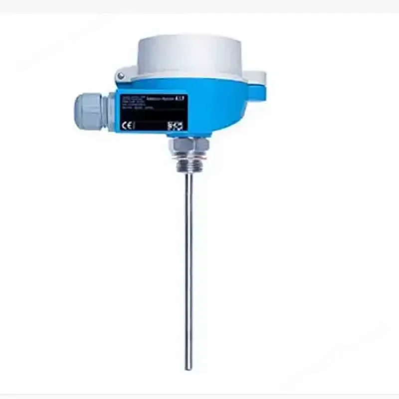 100% Original Endress Hauser ITHERM ModuLine TM121 E+H Stainless Steel IP68 OEM/ODM Thermometer for Industrial Temperature