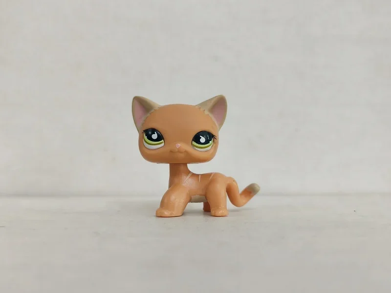 Littlest Pet Shop Figure LPS Orange cat #790 W/5pcs Accessories for kid Toy