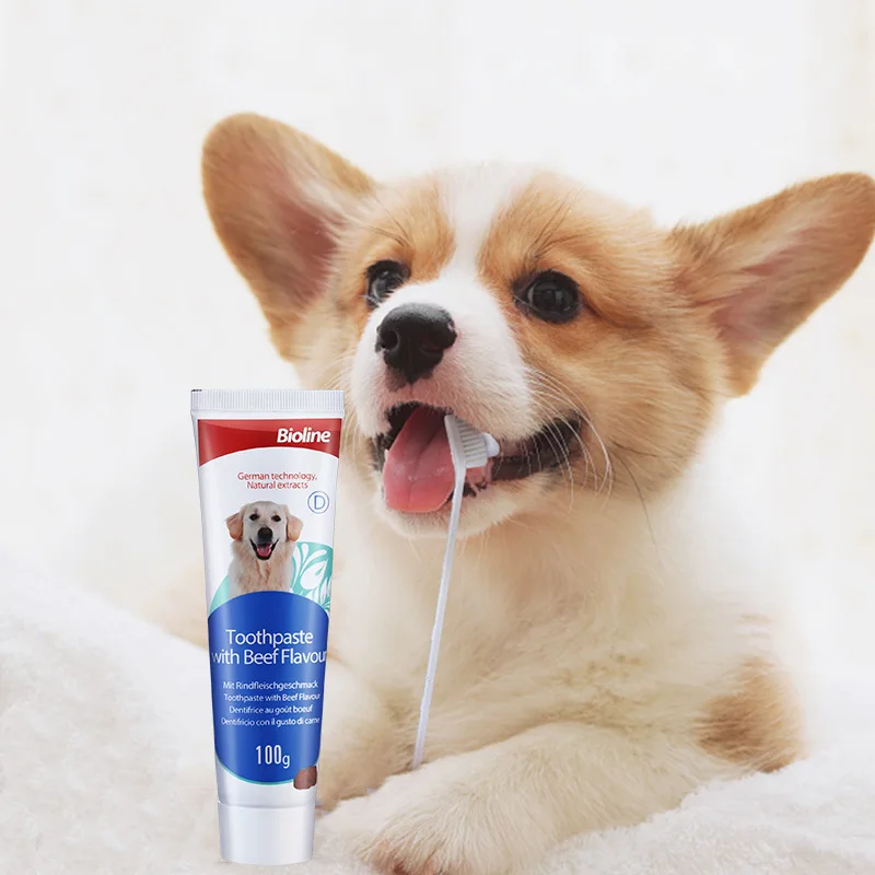 Pet Dog Toothpaste Edible, Toothbrush Toothpaste Set, Fresh Breath Removal Tooth Dog Stuff Puppy Dog Accessories