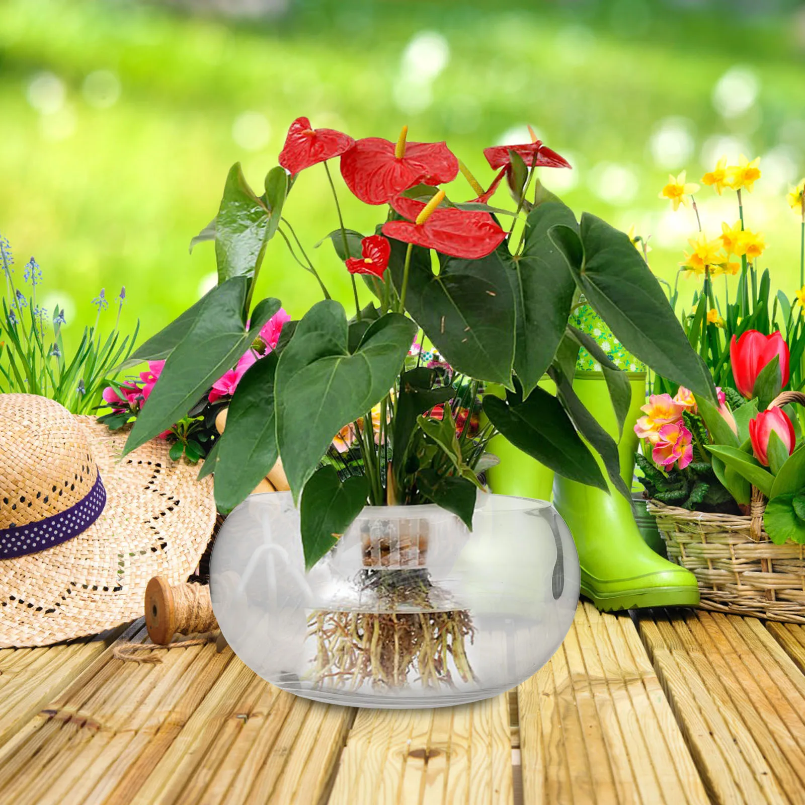 

Transparent Glass Planter Hydroponic Flowerpot Clear Desktop Fish Bowl Indoor Plant Container Glass Terrarium Succulent Pot