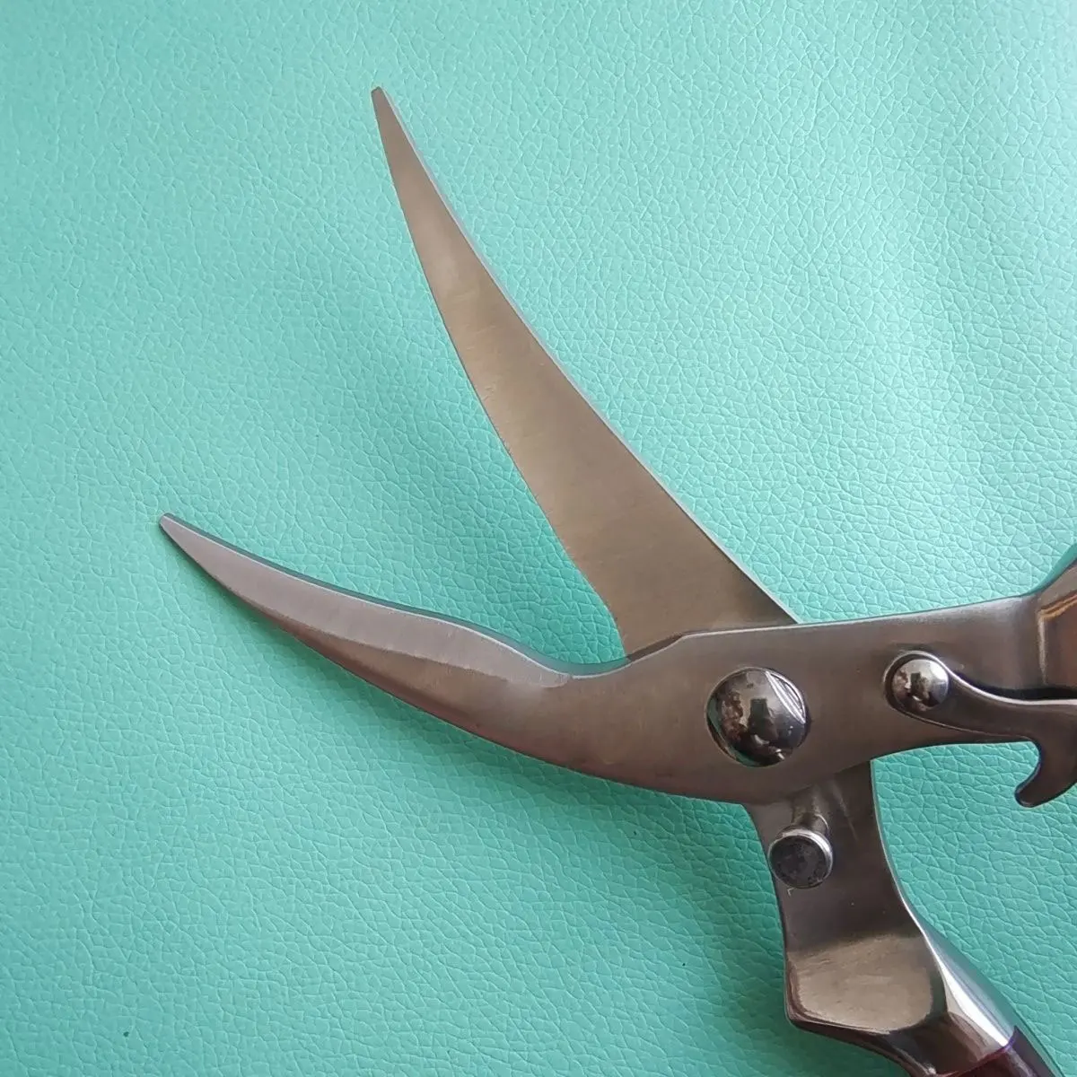 Tijeras de acero inoxidable para huesos de pollo, tijeras de cocina, tijeras para alimentos para el hogar, cortador de pescado, pollo y pato, cuchillo