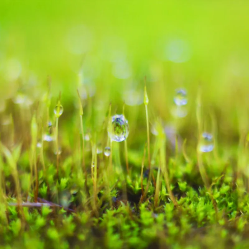 

12428 12423 Комплект обновленных аксессуаров Амортизаторы для Feiyue FY03 WLtoys 12428 12423 1/12 RC Багги Автозапчасти