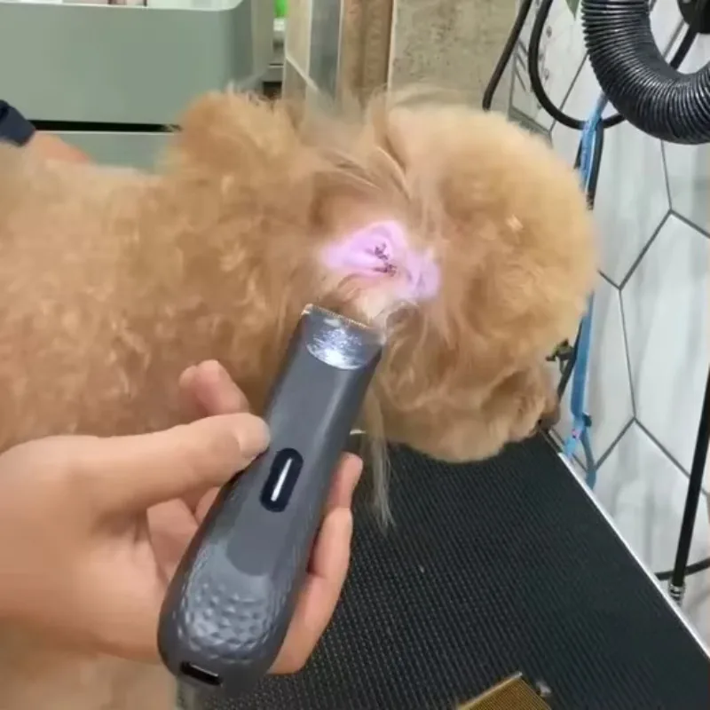 

Pet Hair Trimmer Store Mini Clipper Dog Grooming Tool-Rechargeable Waterproof LED Illumination Plastic Construction
