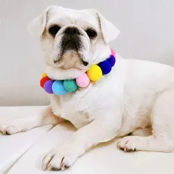 Pajarita para perro y gato, Collar con bola de pelo y Flor de arcoíris, accesorios de aseo