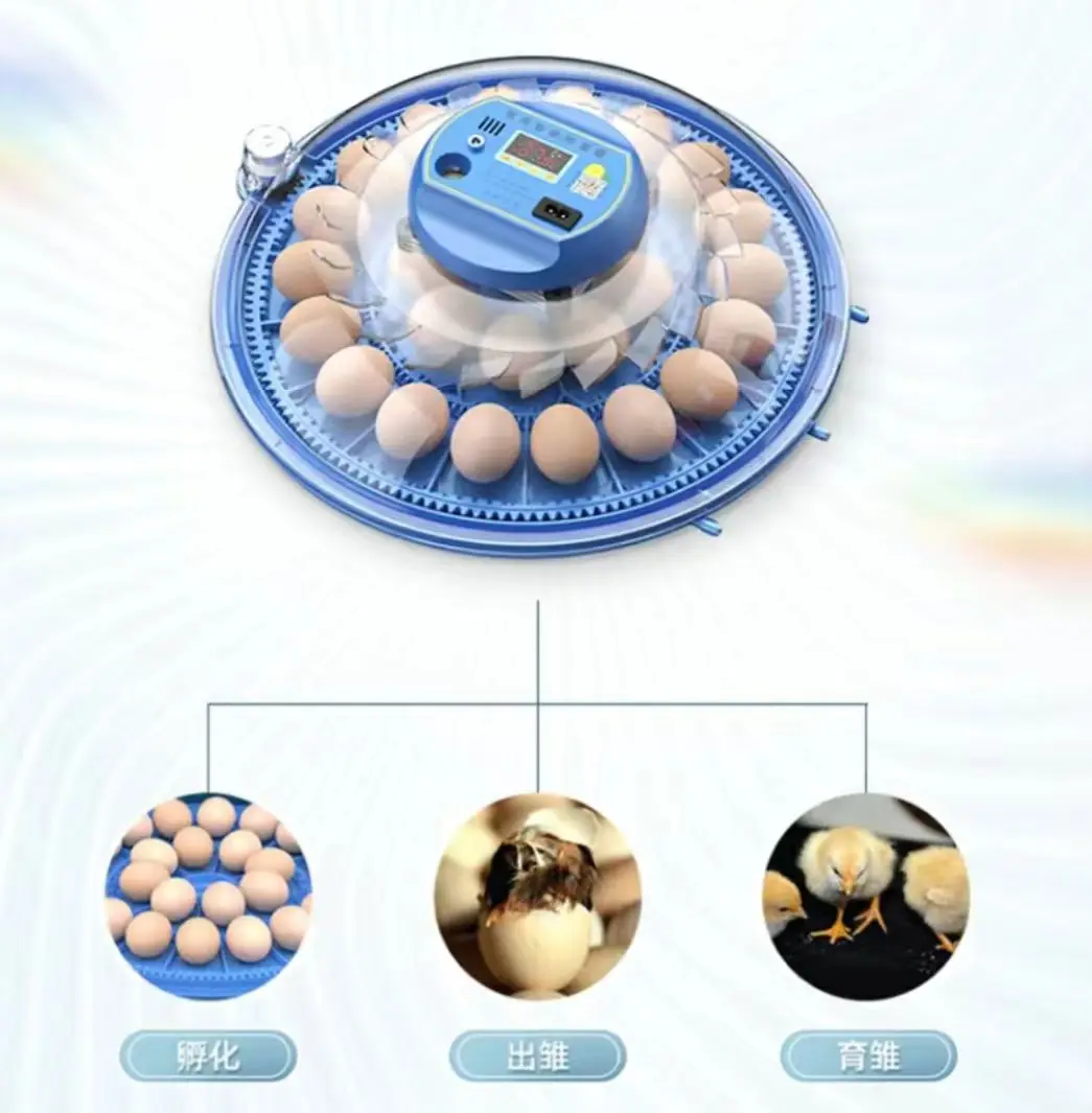 

20/24/36/56/96/112 Eggs Chicken Egg Incubator Full-automatic Poultry Egg Incubator