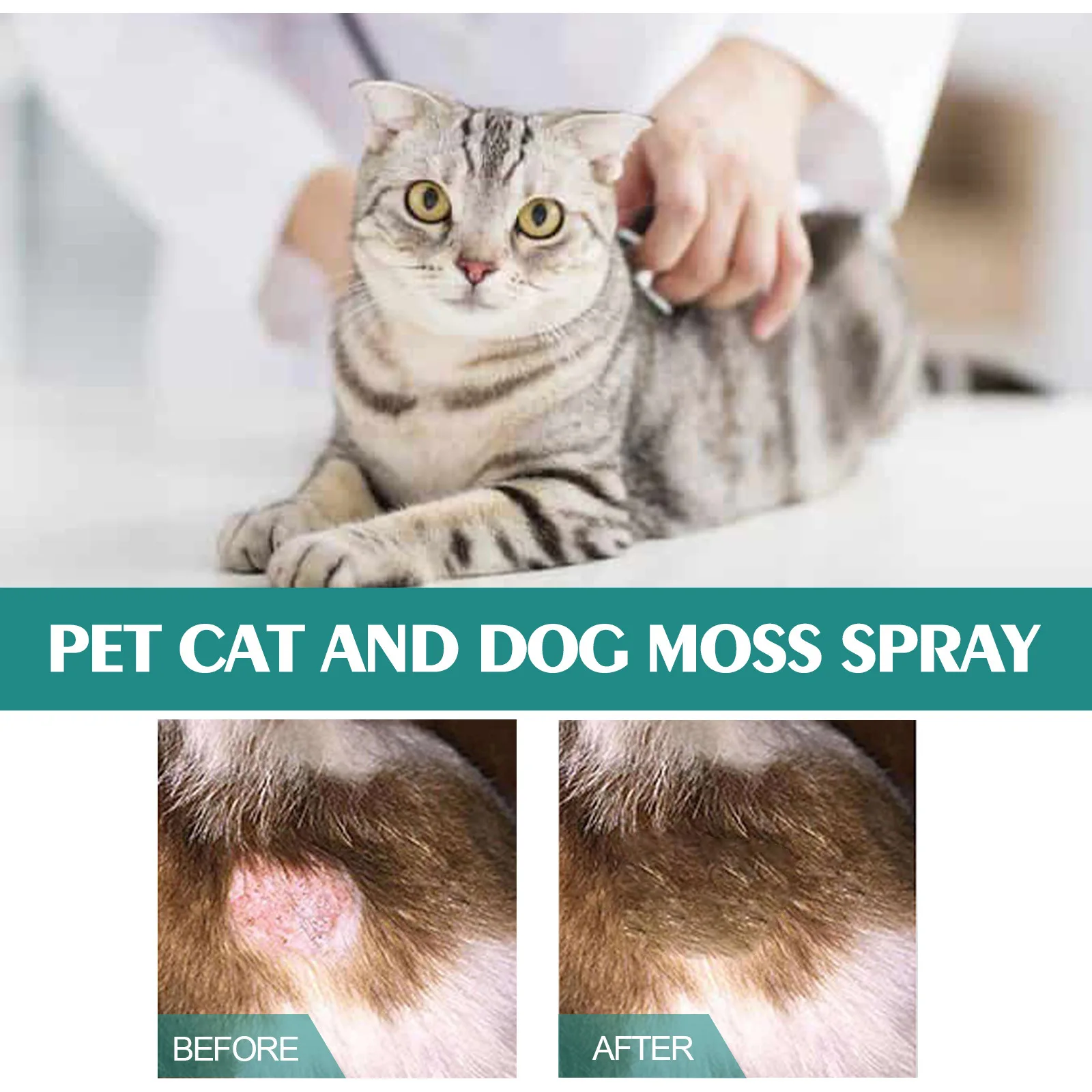 Pets Skin Relief Spray Skin Problems Care Ringworm Treatment Wound Repair Cleaning Relieving Skin Itching Moss Spray for Dogs