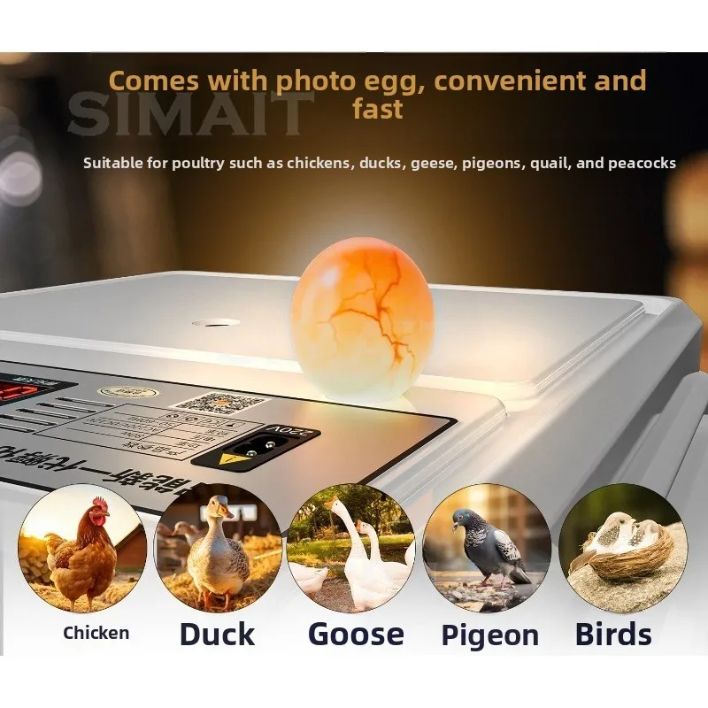 Can Incubate176 Eggs, Automatic Egg Incubator, Incubator, Small Household Smart, Rutin Chicken, Duck, Goose, ,Bird, Chick