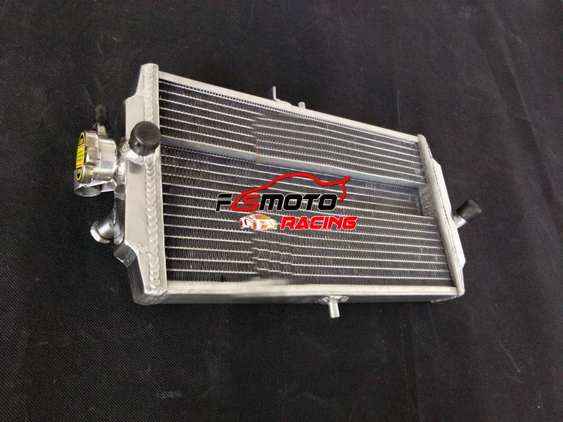 Aluminum Radiator For Honda RS 125 RS125 1987-1994 93 92 91 90 88 87 89 94 GP125 GP R NF4  1988 1989 1990 1991 1992 1993 1994