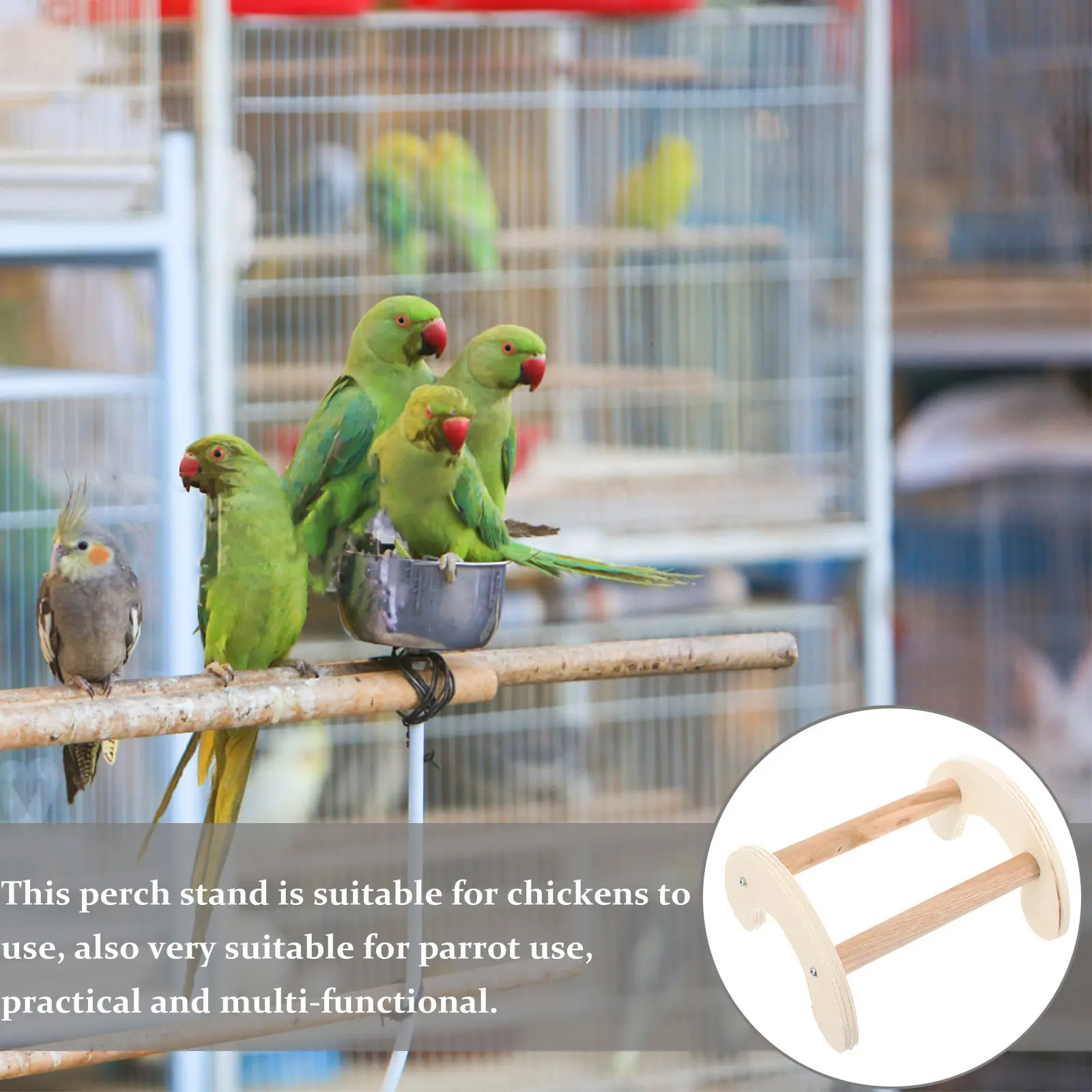 Wooden Bird Perch Stand for Chickens Parrots Parakeets Roosting Resting Exploring Comfortable Height Safe Bite-Resistant Farm