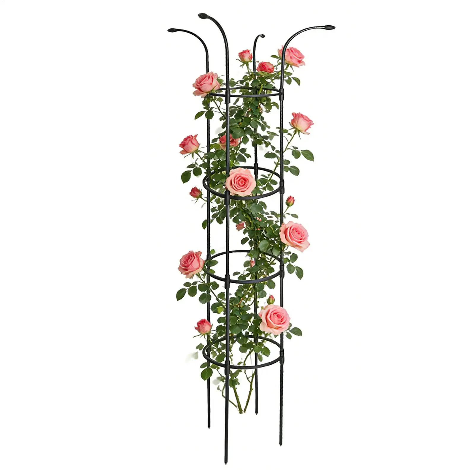 Garden Trellis Vertical Rustproof Stable Vine Supports Support Cage Umbrella Trellis For Vine Rose Clematis Vegetable Dragon
