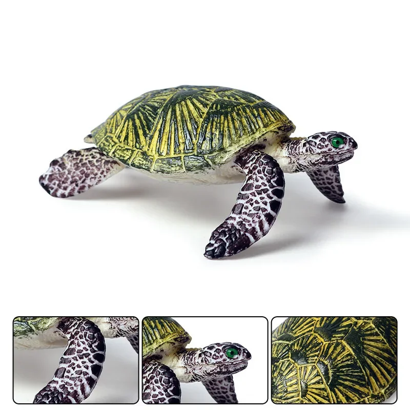 Figurines d'action d'animaux marins pour enfants, tortue à oreilles coulissantes, figurine d'amphibiens, modèle Auckland, roman, jouets en plastique, cadeau d'ornement