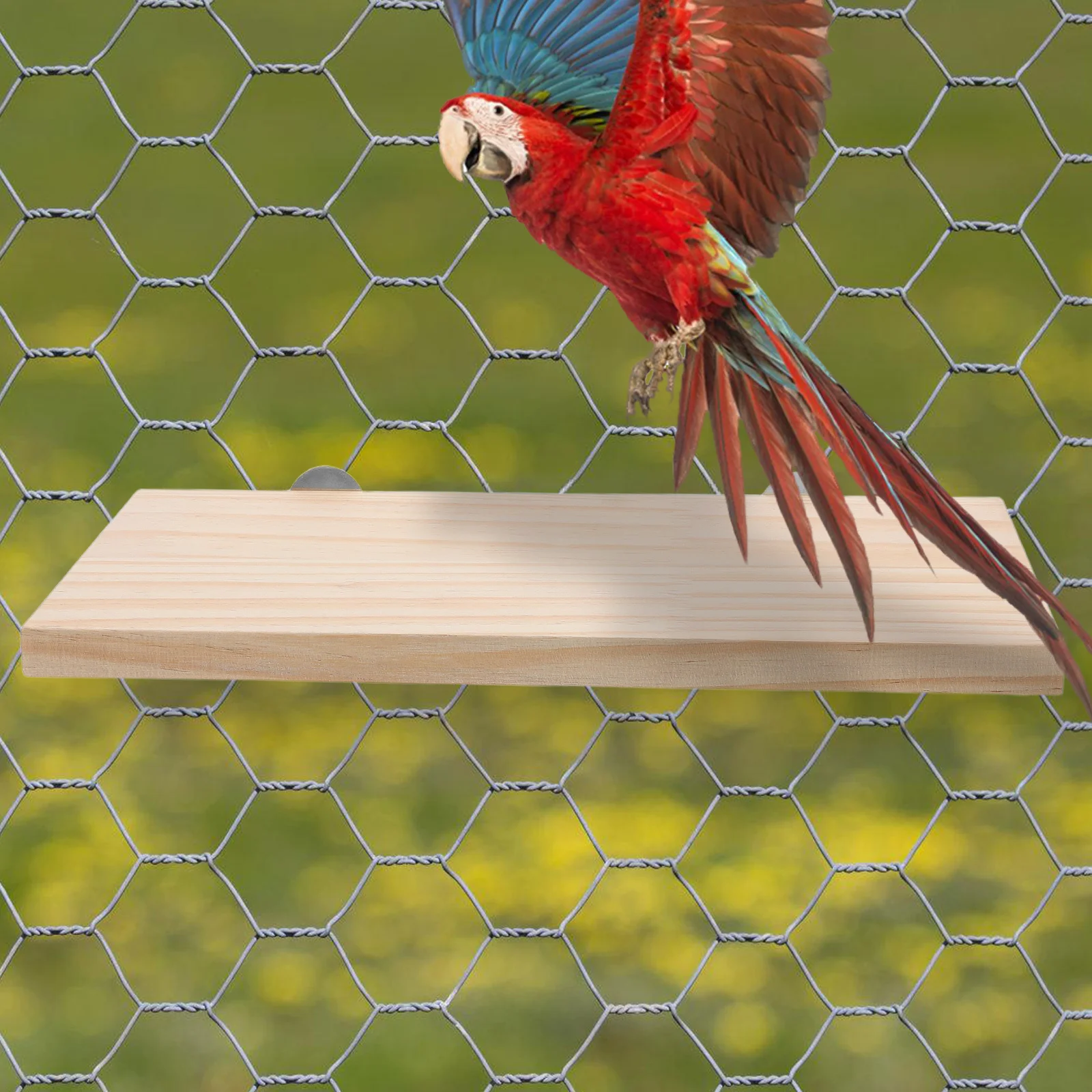 

Bird Perch Platform Natural Wood Flat Stand Grinding Beak Paw Parrot Parakeet Cockatiel Lovebird Conure Budgie Cage Accessories
