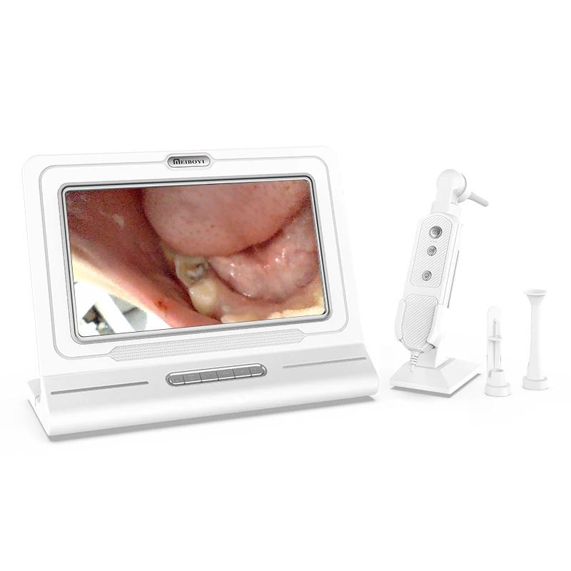 Portable ENTendoscopic examination tool for daily ear canal inspection and cleaning of cats and dogs