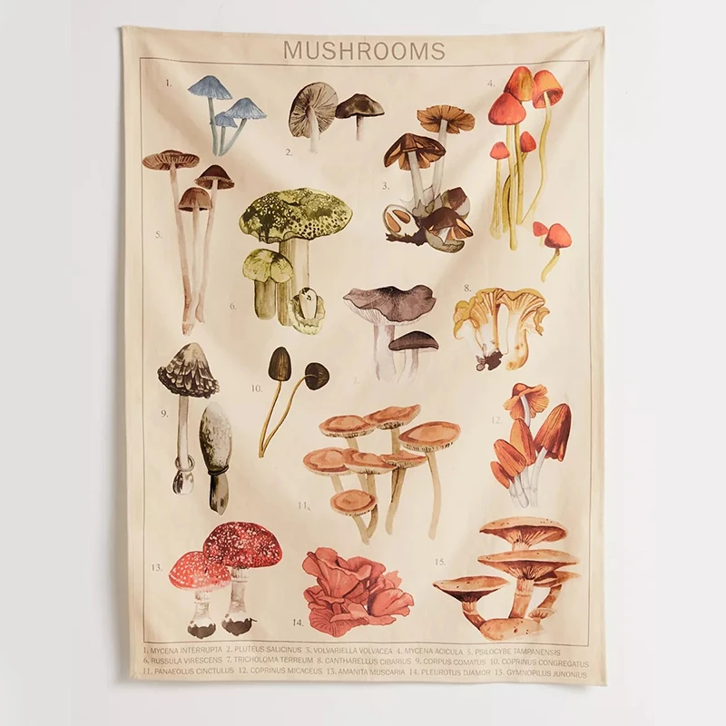 Mushroom Tapestry Vintage Illustration Reference Chart Tapestry Fungus Tapestry Colored Bedroom Living Room Dorm Art Decor