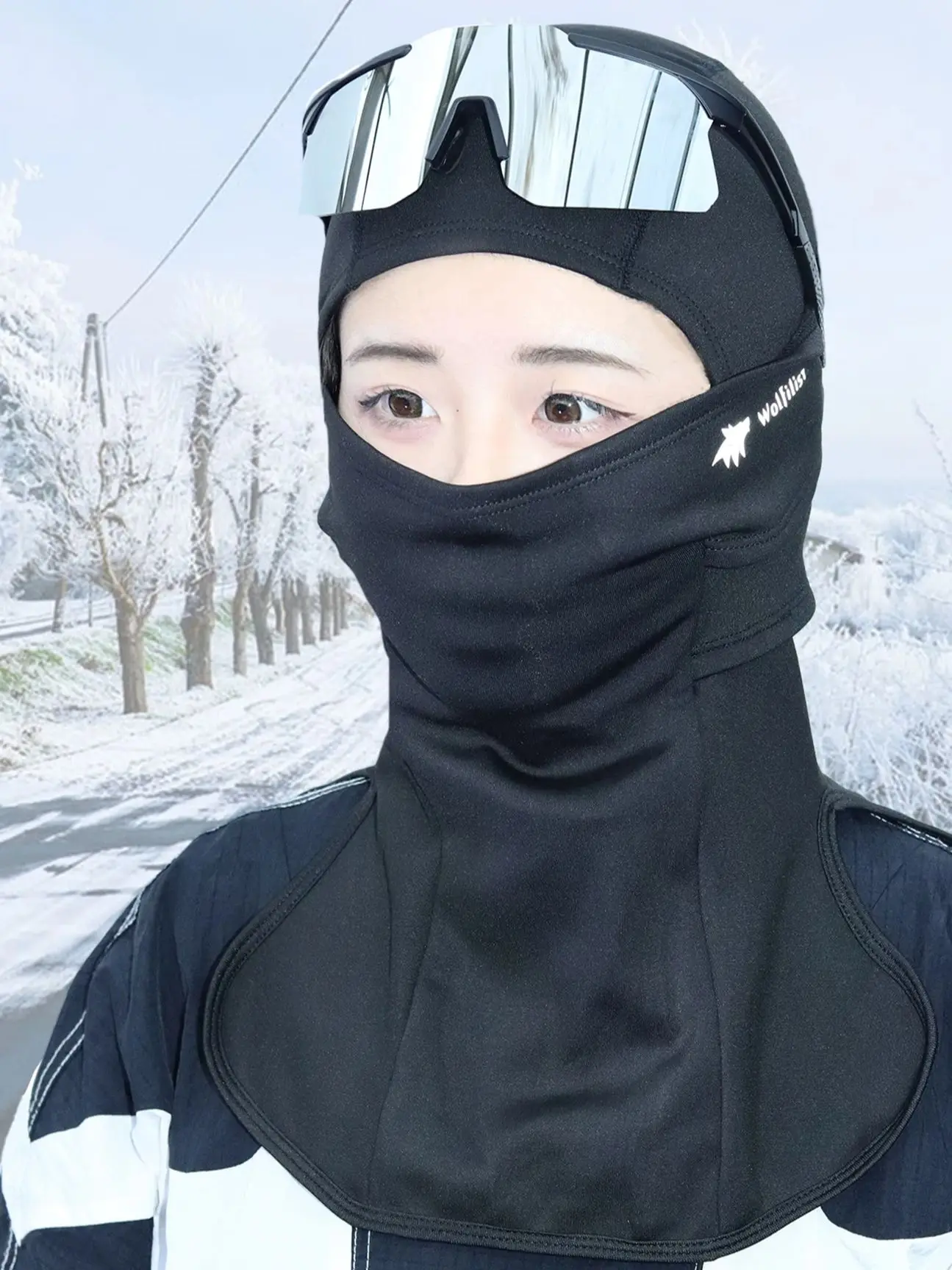 AliExpress wolfilist Balaclava Face Ski Mask for Men & Women, Winter Warm Thermal Full Face Mask Neck Warmer Hood for Outdoor Cycling Skiing