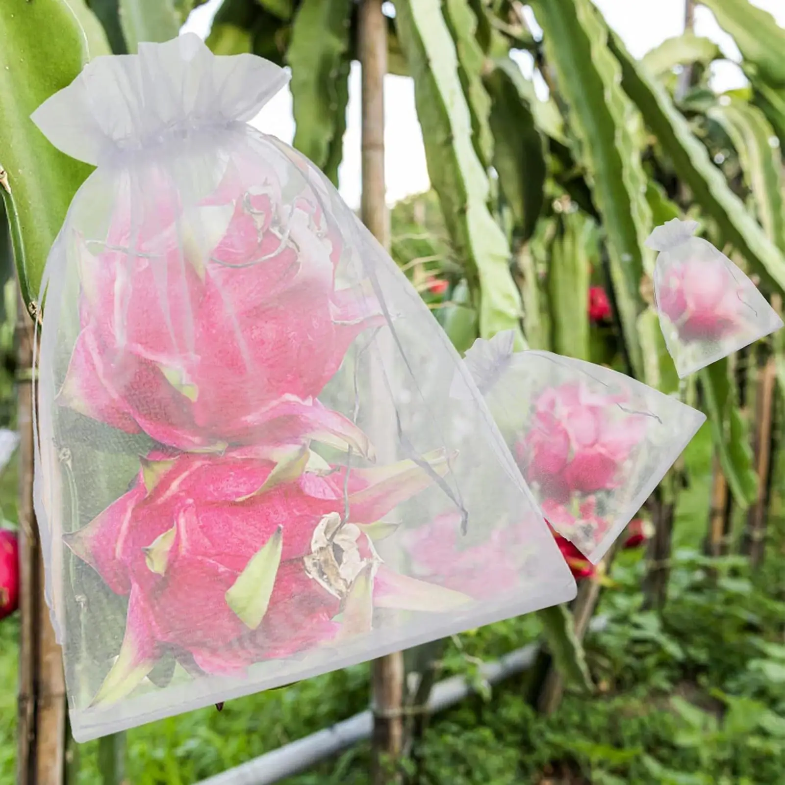 Fruit Cover Bags 100 Pieces Drawstring Breathable Reusable Fruit Trees Cover Mesh Bag For Grapes Tomato Strawberry Blueberry