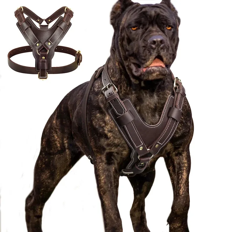 

Durable Large Dog Harness Genuine Leather Dog Vest Harnesses Adjustable Quick Control With Handle Pet Supplies For Labrador