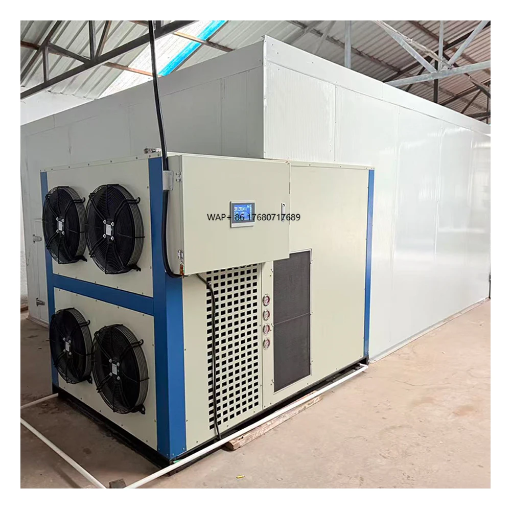 

High Quality Large Oven Energy Saving Industrial Heat Pump Dryer for Meat Beef Fish Processing Fruit Dryer