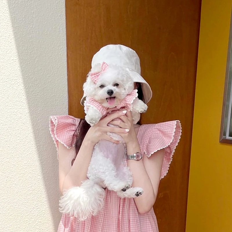 Ins PinkPplaid Flying Sleeve Pet Princess Skirt Teddy Bichon Pomeranian Puppy Small Dog Cat Dresses Summer Dogs Clothes 강아지 여름옷