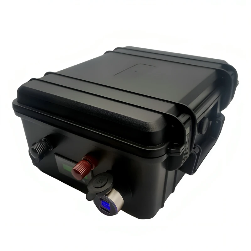 Li ion 24v 80AH 100AH 120AH lithium battery BMS 2000W for RV AGV Air conditioner heater Solar energy storage + 10A charger