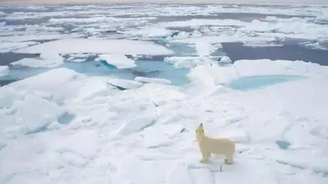 

FOR 1/10 4-TEC DRIFT MUSTANG Gear protection cover