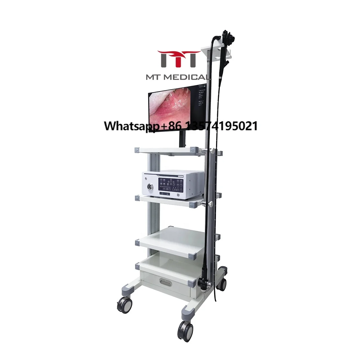 

MT MEDICAL Equipment Vet Surgery Video Flexible Endoscope Animal Hospital VET Gastroscope for Cat