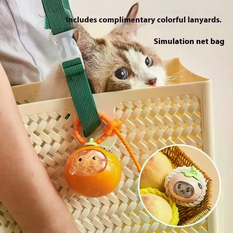 1/4 قطعة لطيف الفاكهة شفافة الحيوانات الأليفة القط الكلب جامع الشعر المفاتيح الإبداعية المحمولة شعر الحيوانات الأليفة التذكاري حقيبة التخزين قلادة #2