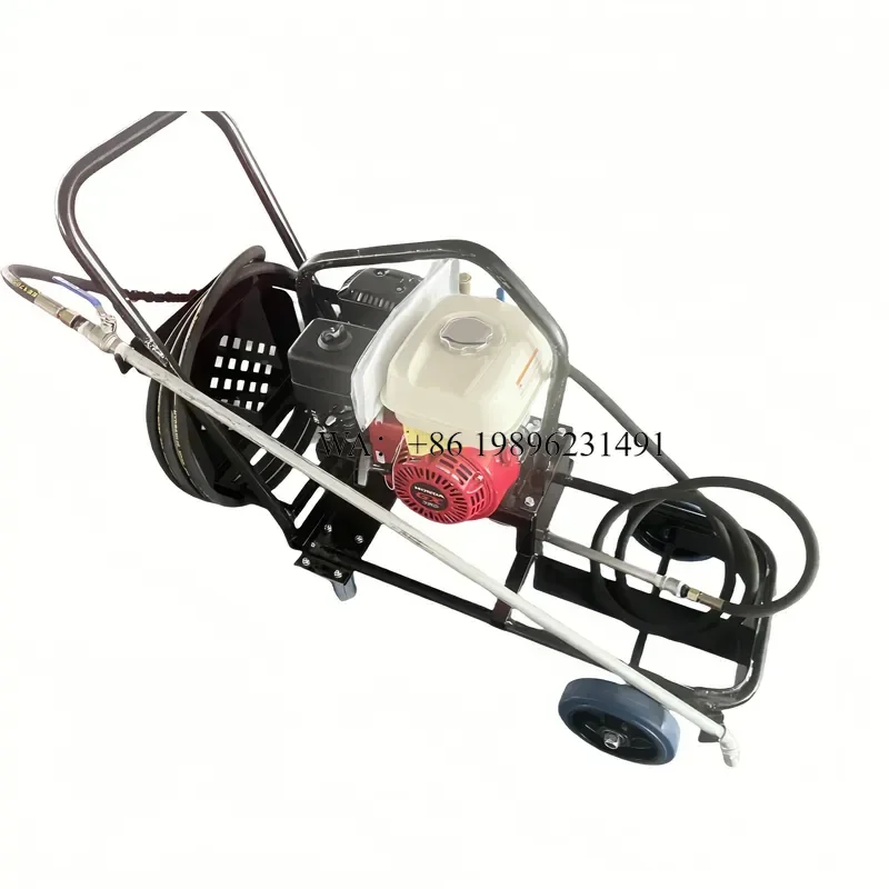 Wmwmnu for Longshun Portable Road Spraying LS-310 with 5HP Motor and Engine for Cold Bitumen Spraying High Efficiency