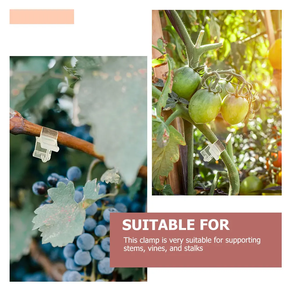 

100 pcs Grafting Clips Sturdy Plastic Tomato Plants Support Clamp Horticultural Trellis Gardening Tools Fixing Vines Crops