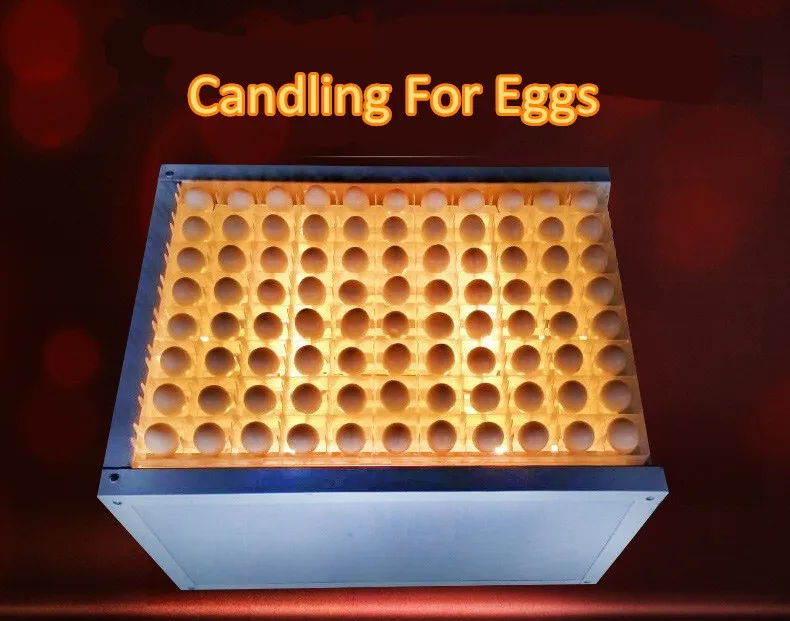 factory price chicken egg tester large capacity 63 egg tester beautiful and practical fertile egg tester