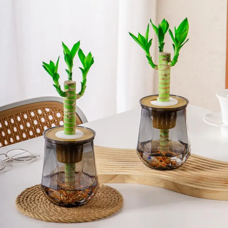 Mini Self Watering Flower Pot Fish Tank Transparent Plastic Plant Pots Self Watering Planter Pot Vase For Home Decoration