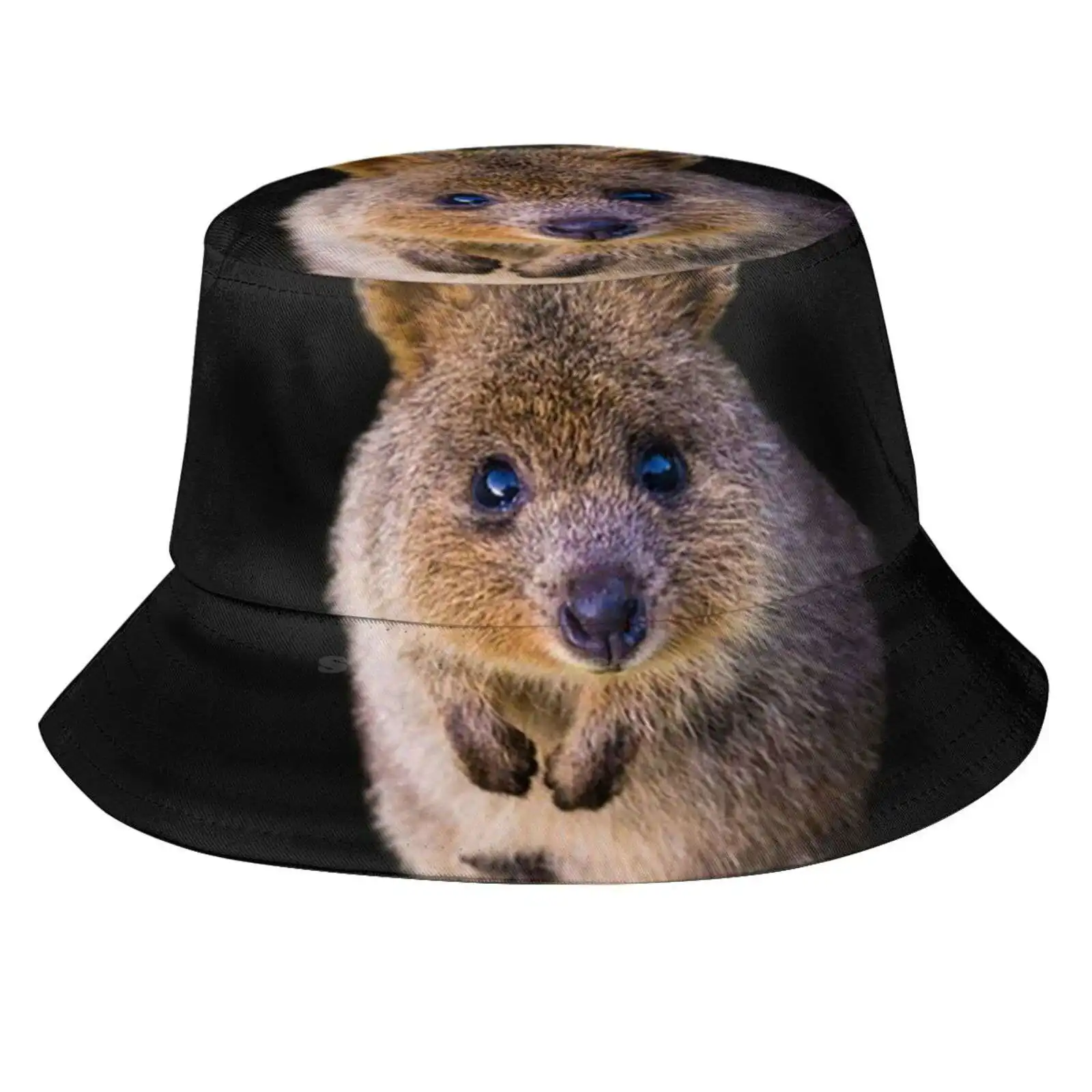 Quokka Sun Cap Fisherman Hat Bucket Hats Quokka Animals Cute Quokka Beautiful Quokka Funny Quokka