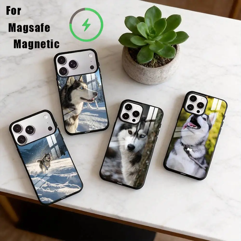 

Чехол для телефона с изображением сибирского хаски для iPhone 17, 16, 15, 14, 13, 12, 11 Plus, Pro, магнитный, для беспроводной зарядки Magsafe
