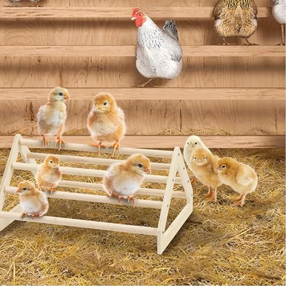 Chicken Training Frame Made Of Solid Wood Jungle Gym Can Exercise Activities Big Bird Chicks Parrot Hens Can Use Toys