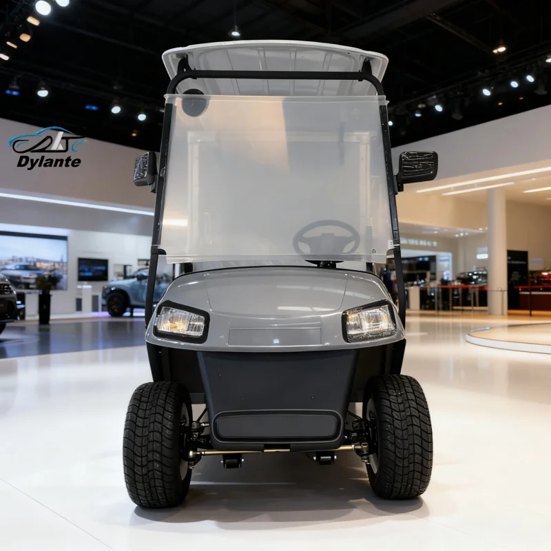 Scenic Sport Club Car Folding Cargo Cart Adult Electric Quadricycle Go Kart 2 Seater Electric Golf Cart With Rear Cargo Box