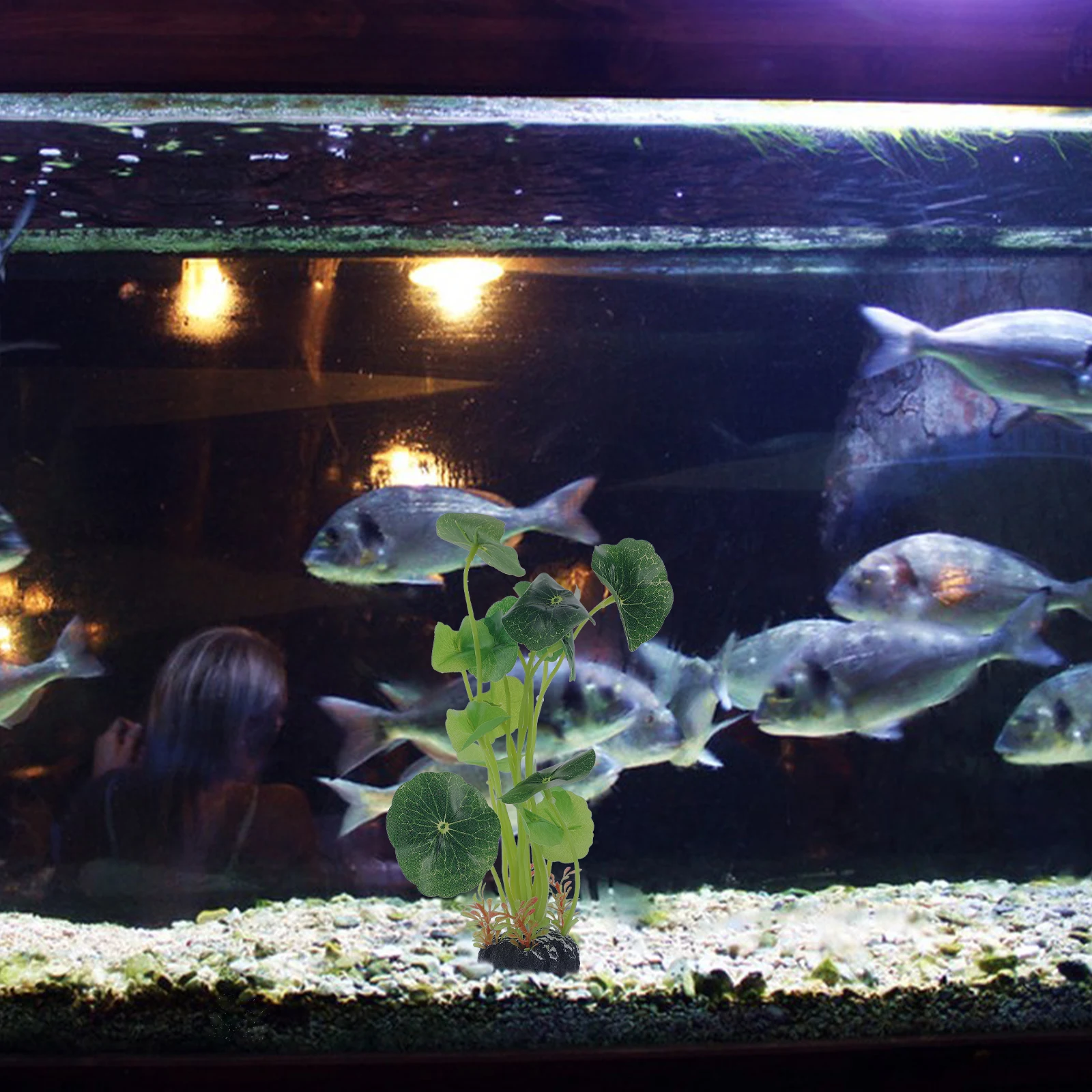 

Fish Tank Plants Realistic Simulation Lotus Leaves Decor Thick Bottom Safe Plastic Material for Aquarium Landscaping Hiding Spot