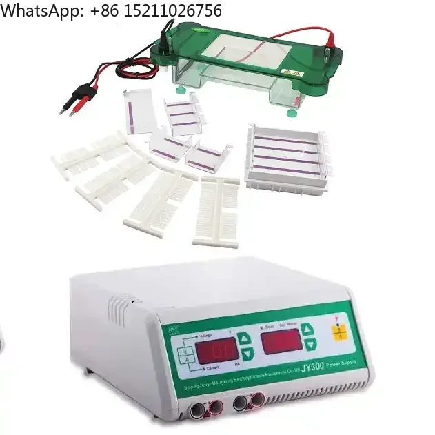 Laboratory Equipment LED Display JY600 Electrophoresis Equipment with Horizontal Electrophoresis Tank