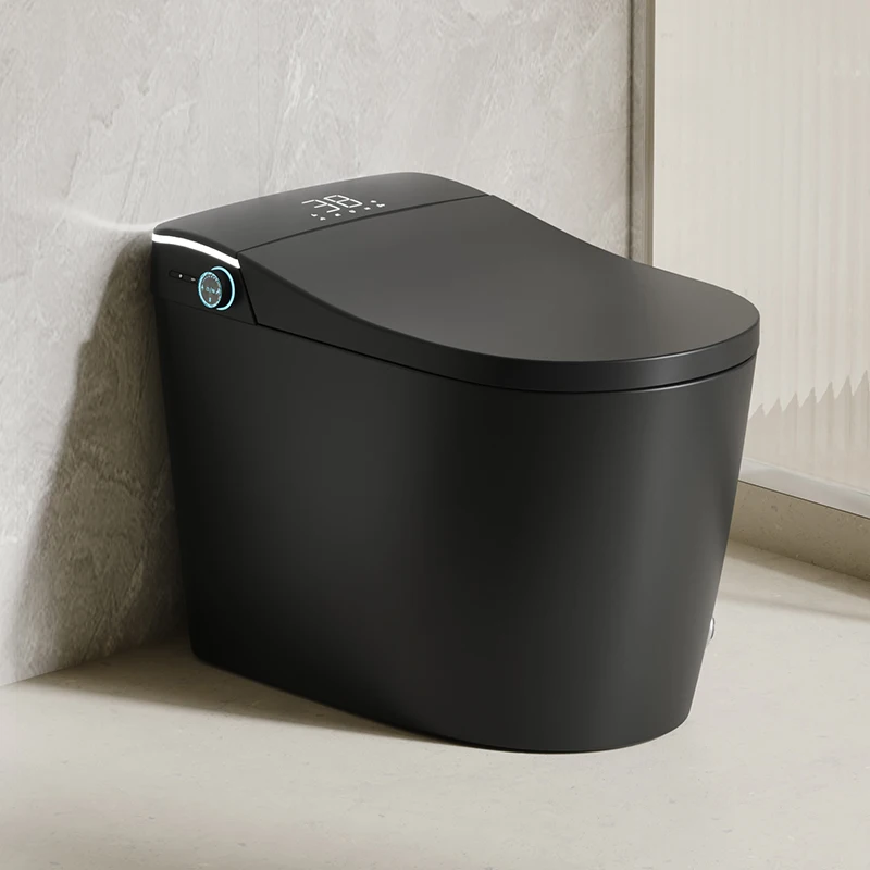 

Modern Bathroom Smart Toilet Black Ceramic Automatic Electronic Control Bidet Wc Intelligent Toilet