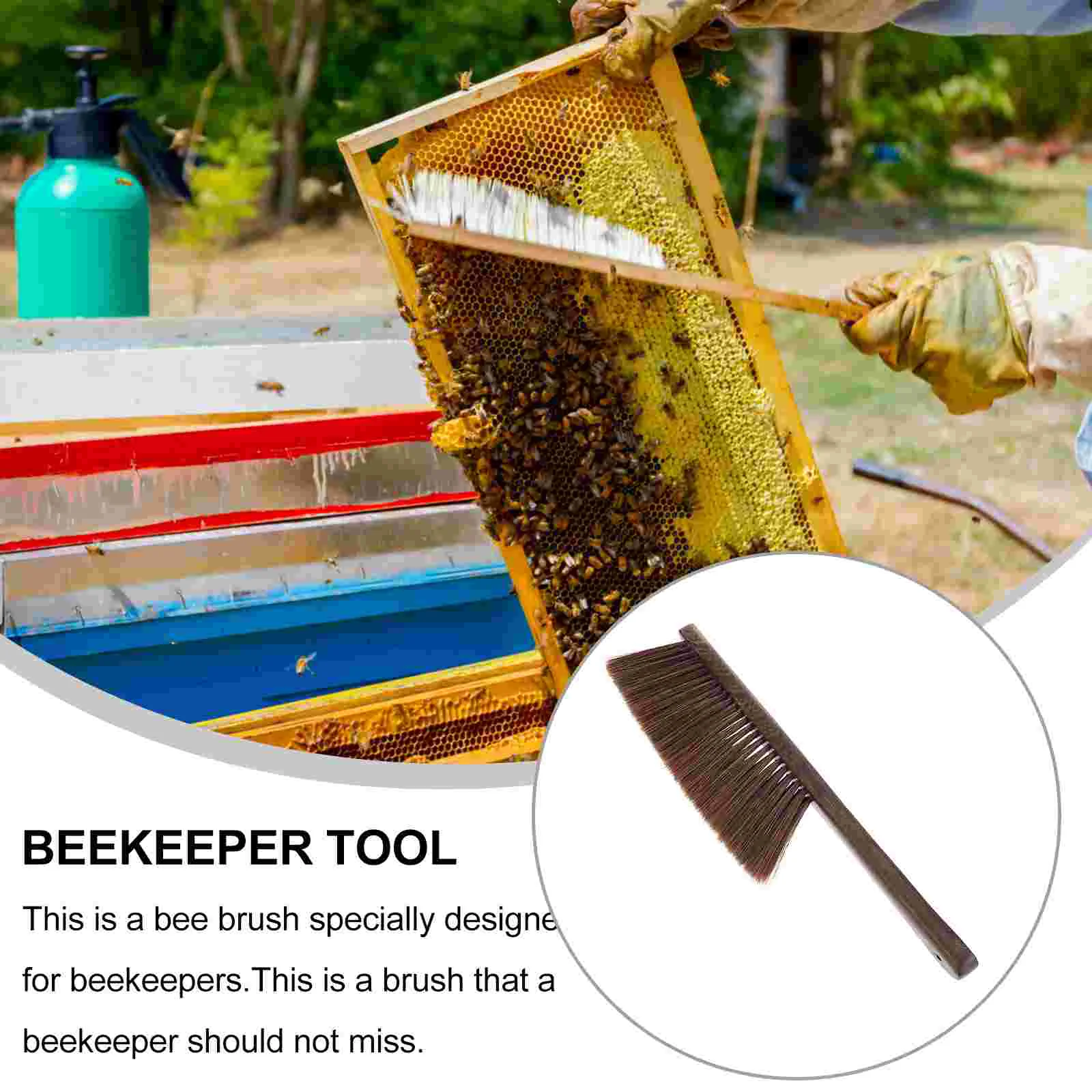 Beekeeping Supplies Cleaning Brush Wooden Handle Hive Tool Coffee Beekeeper Accessories