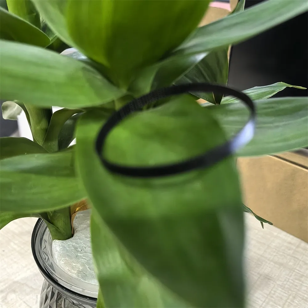 

10pcs Paper feed belt for EPSON C5210 C5290 C5299 C5710 C5790 C579 ET-8700 M5299 M5799 WF-3540 WF-3620