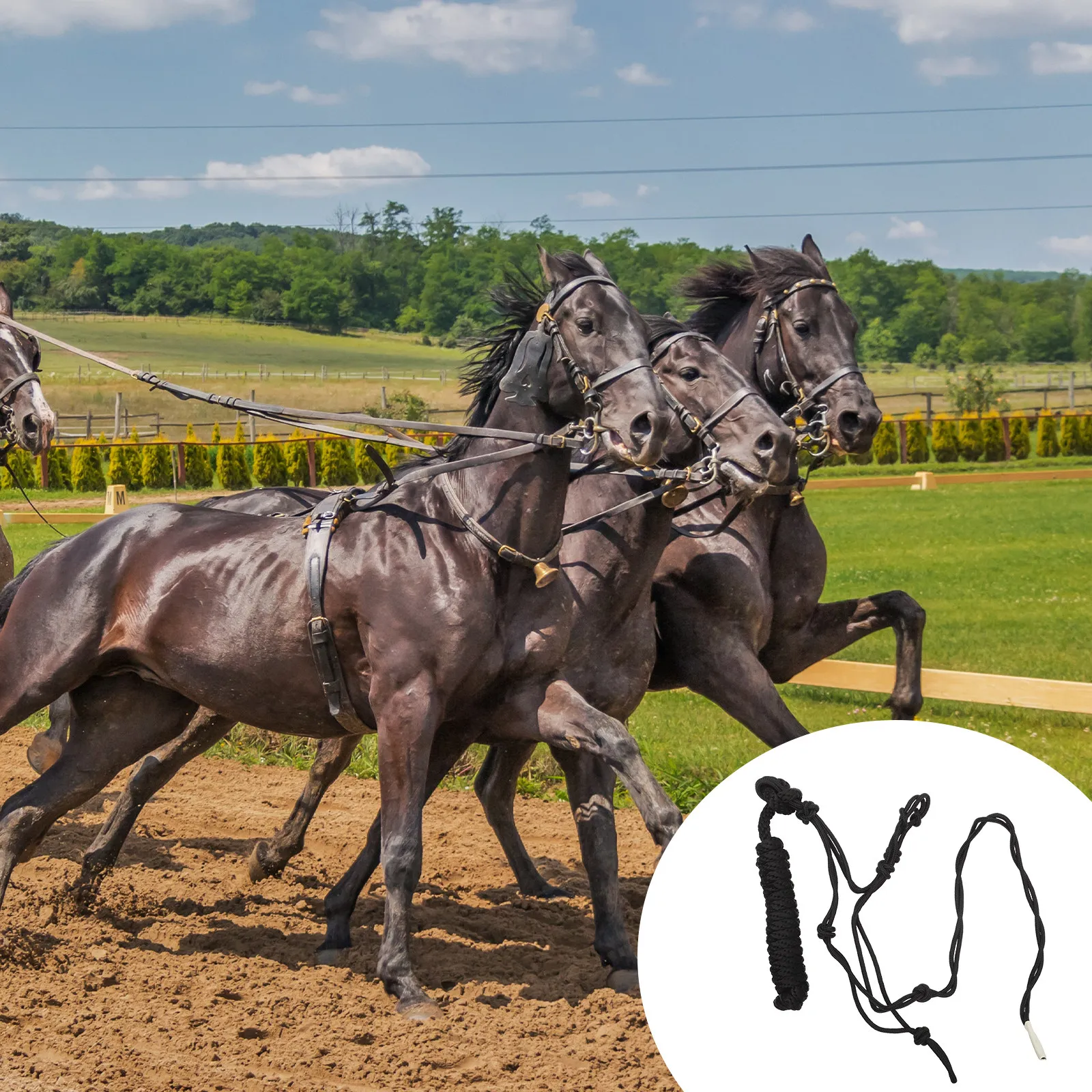 

Premium Horse Halter Strong Wear-Resistant Fabric Training Halter Easy to Use Portable Convenient Horse Equipment
