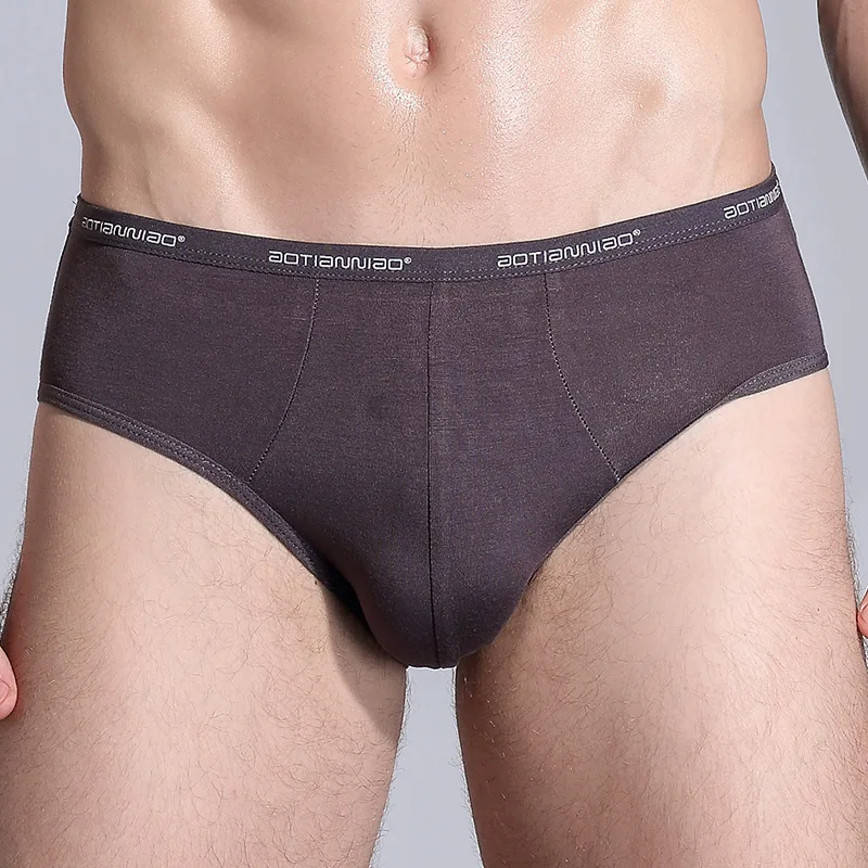 5XL Large Size Modal Breathable Mens Underwear Big Size Plus Size High Elasticity U Pouch Bag Soft Solid Man Middle Waist Breifs