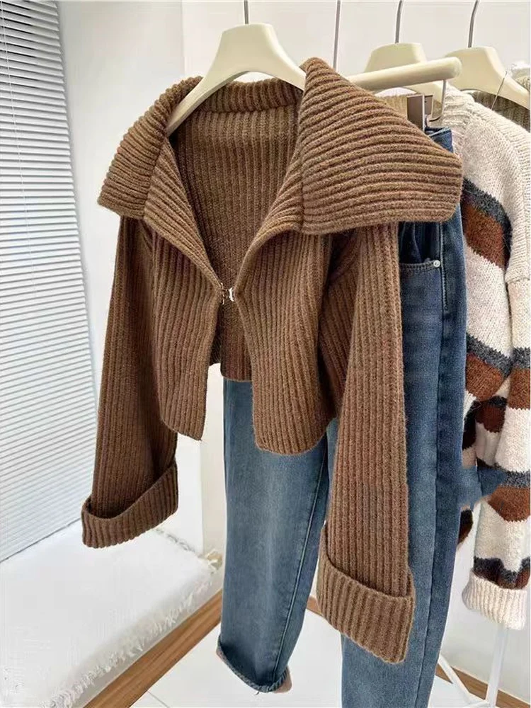 Thiened tricoté ort Cardigan femmes Faionable coréen Sle printemps automne hiver chaud couleur Pure boutonné pull haut