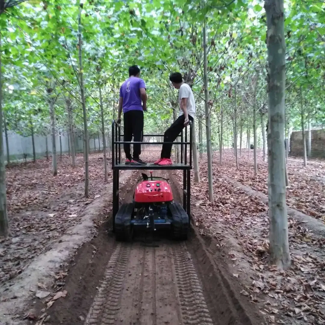 Garden Sprayer Agricultural Machines Agriculture