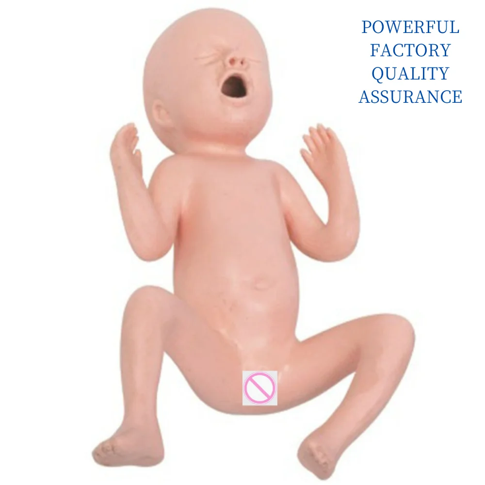 

Advanced 24-week Preterm Model Premature Baby manikin Medical Science Fetus Simulator Nursing Articles Educational Teaching Aids