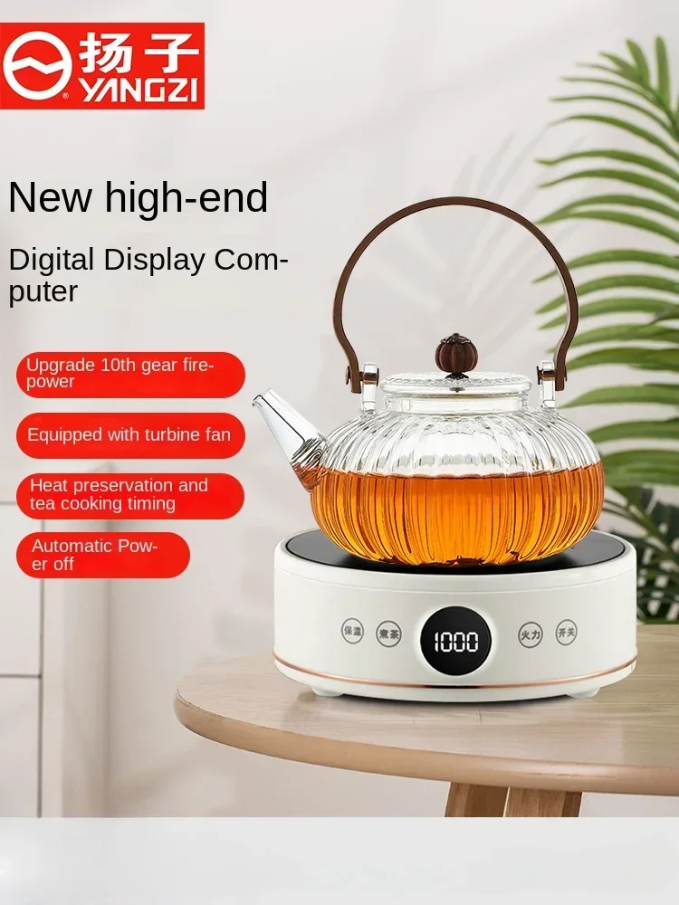 220V Yangzi Electri… - image