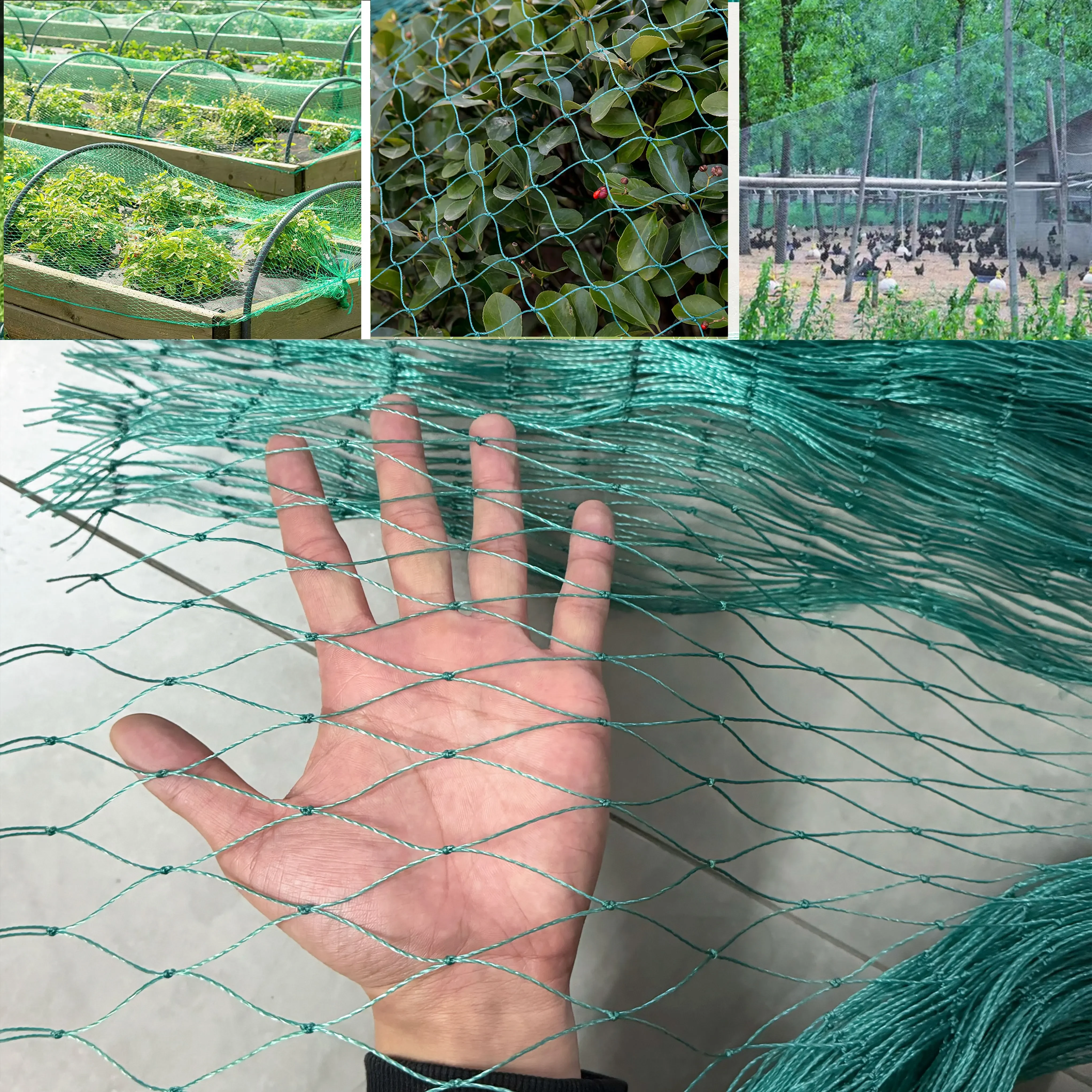 

Bird Net Nylon Net Breeding Farm Pond Fishing Net Fruit Tree Garden Chicken Net Net Poultry Fence Greenhouse Net