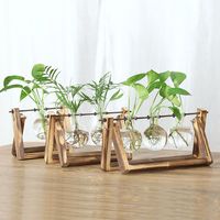 Decoration Terrarium Tabletop Planter Flower Pot Wooden Frame Hydroponic Plant Vases Glass Vase